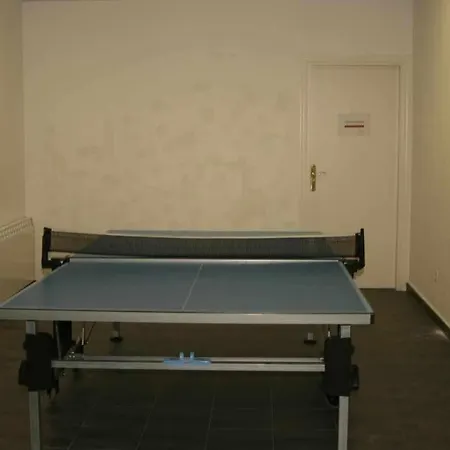 Bonita B Pazcasa Grande, Piscina, Bbq,fibra Alpehytte Panticosa